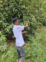 original 20230308 111705