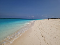 original 20230226 105543