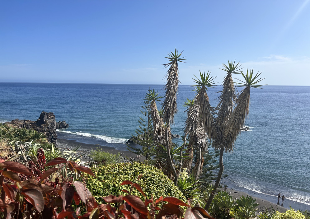 Bild von Madeira 2025 - Eine faszinierende Insel